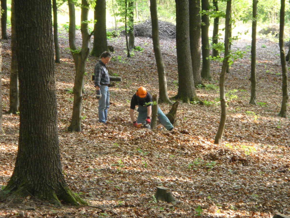 2011-05-07 KPF Wald 04.jpg
